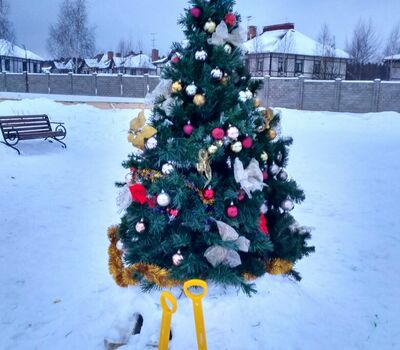 Новогодний праздник в посёлке, 25.12.2016